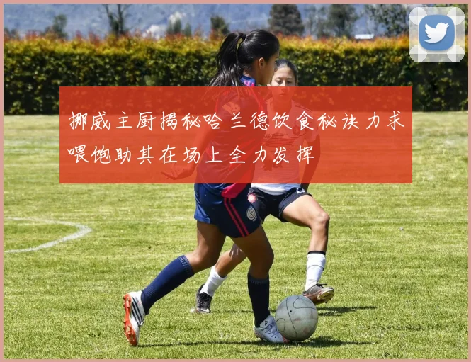 挪威主厨揭秘哈兰德饮食秘诀力求喂饱助其在场上全力发挥